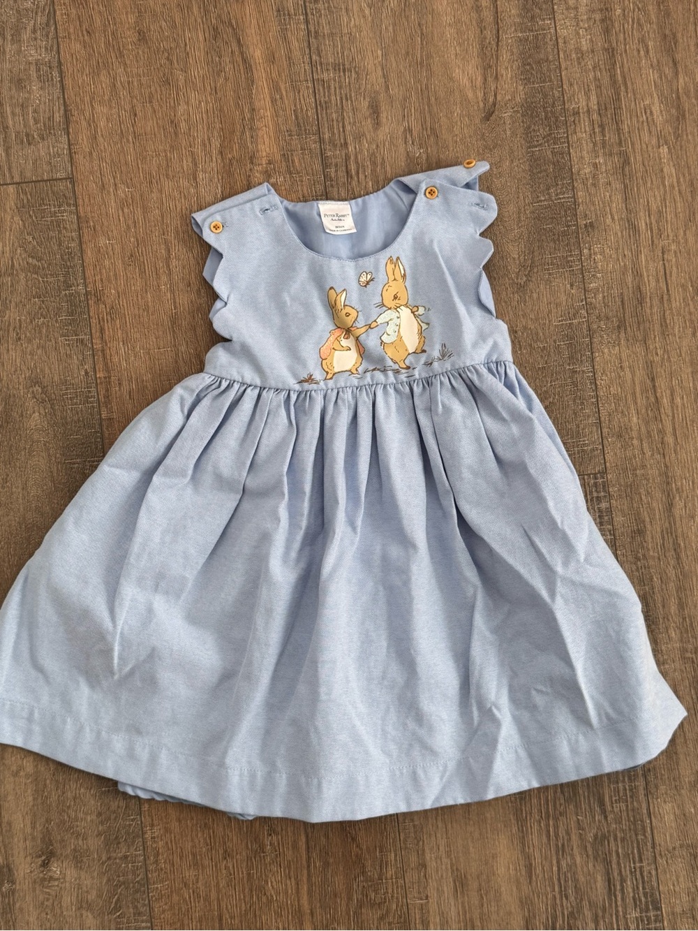 Gymboree Light Blue Bunny Appliqué Dress